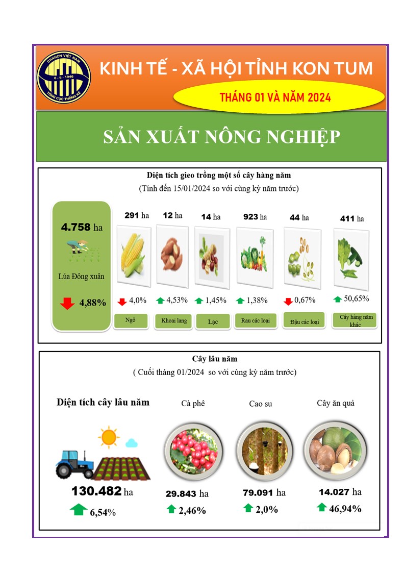 Infographic tình hình kinh tế - xã hội tỉnh Kon Tum tháng 01 năm 2024