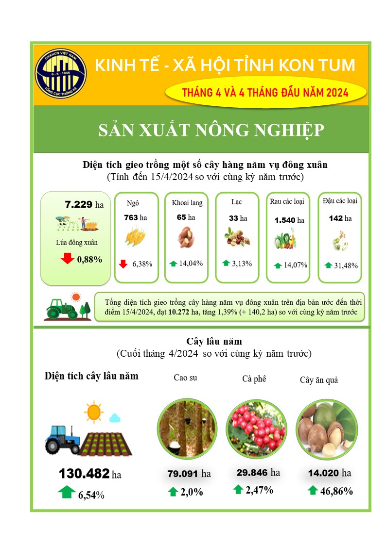 Infographic tình hình kinh tế - xã hội tỉnh Kon Tum tháng 4 năm 2024